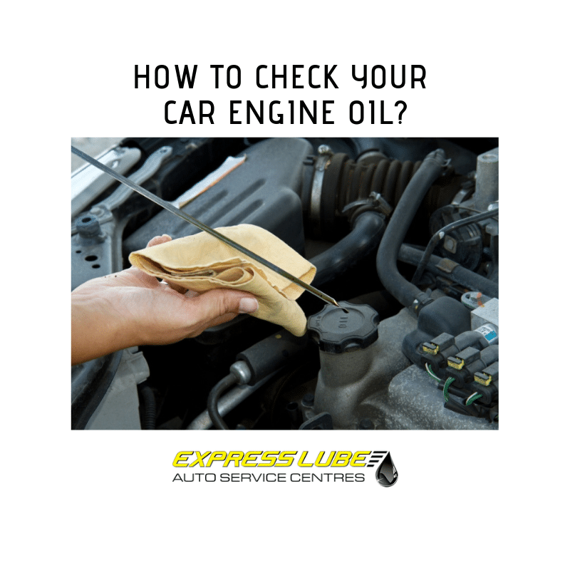 How to check your car engine oil Express Lube Auto Service